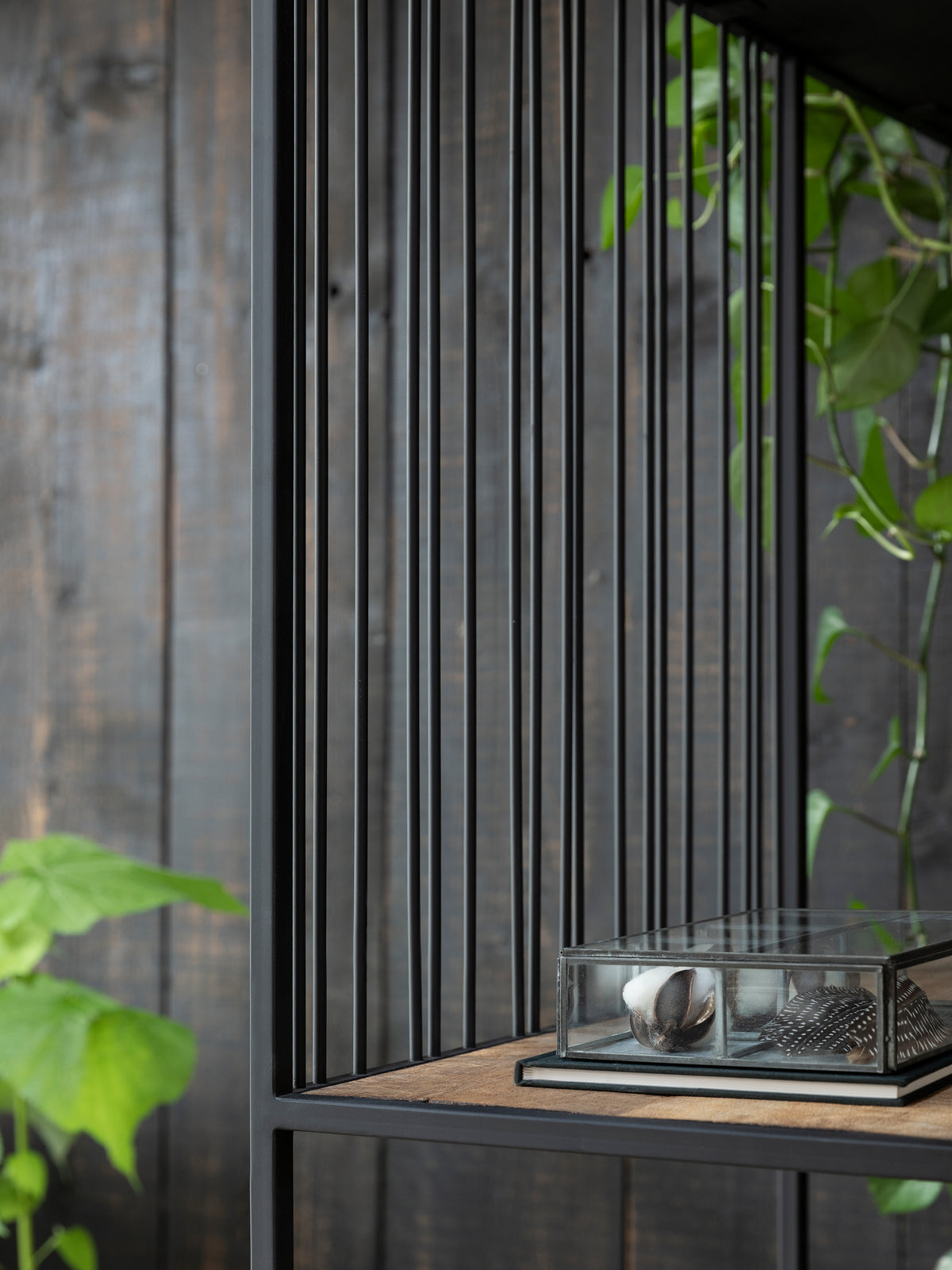 DTP Home Bookrack / Roomdivider Barra small, 5 shelves detail