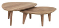 DTP Home Coffee table Bliss pebble TEAK, set of 2