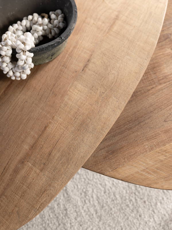 DTP Home Coffee table Bliss pebble TEAK, set of 2 detail