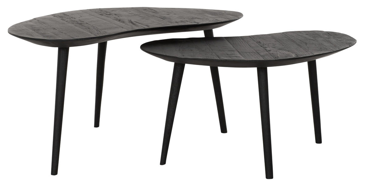 DTP Home Coffee table Organus BLACK, set of 2