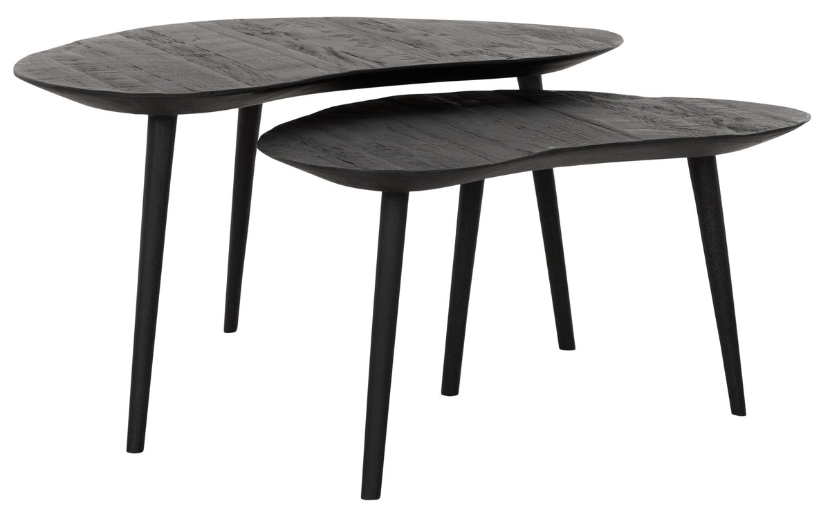 DTP Home Coffee table Organus BLACK, set of 2