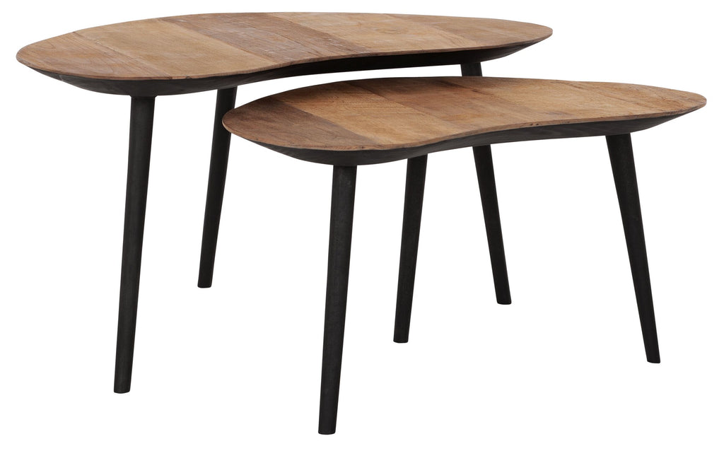 DTP Home Coffee table Organus NATURAL, set of 2
