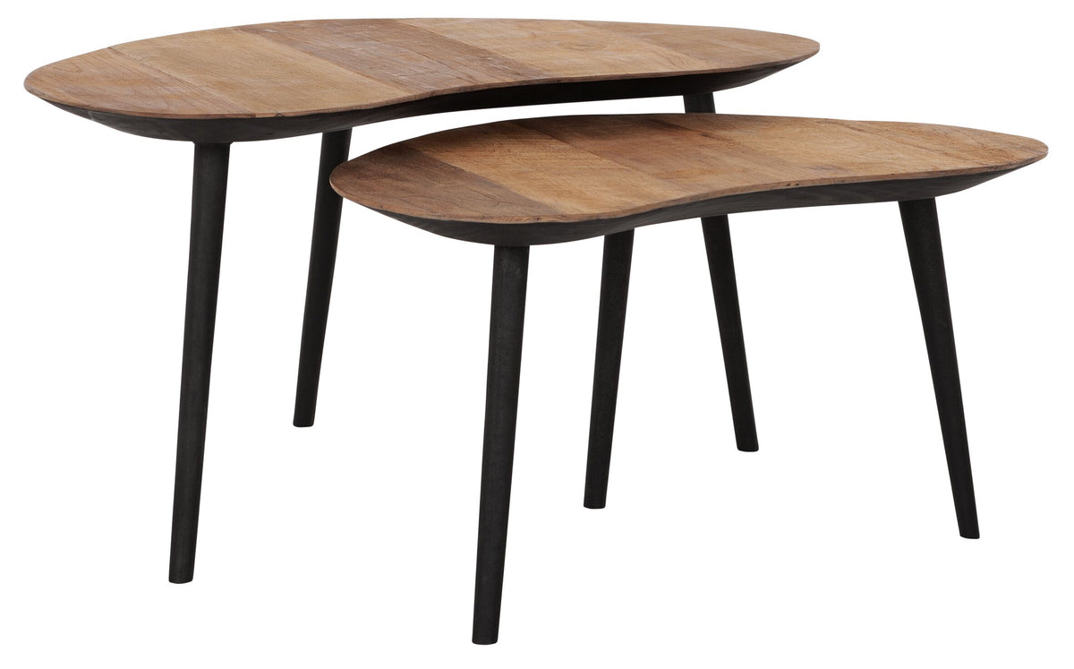 DTP Home Coffee table Organus NATURAL, set of 2
