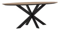 DTP Home Dining table Shape oval